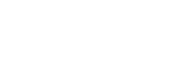 Goose logo